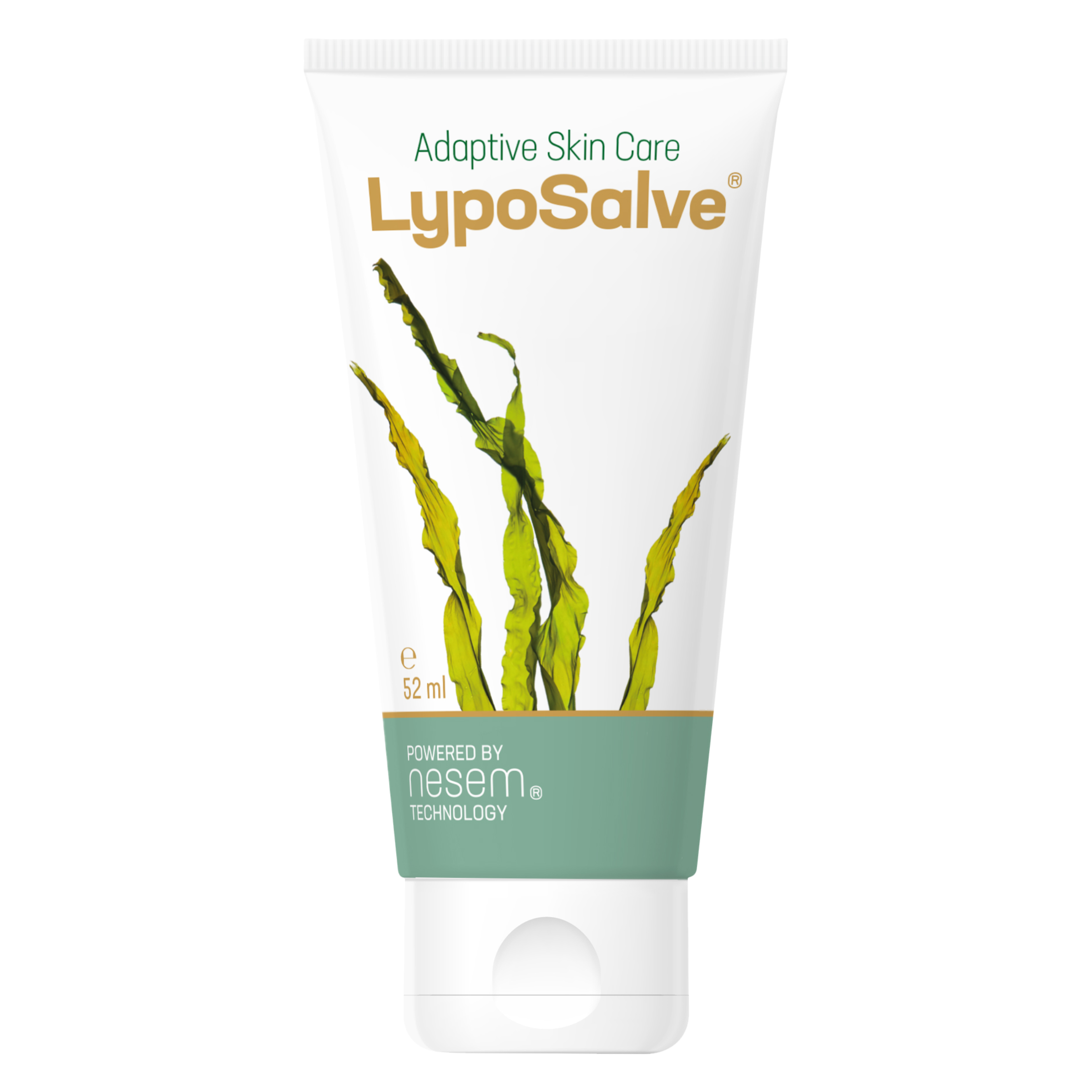 LypoSalve Skin Cream 50g